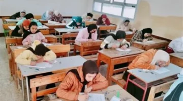 نتائج الشهادة الإعدادية.. تعليم القليوبية تنتهي من رصد الدرجات وتحدد موعد ظهورها للطلاب